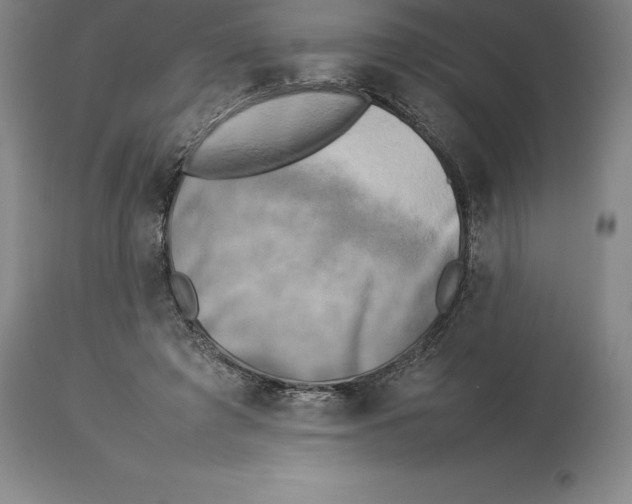 X0000113930401200910231926