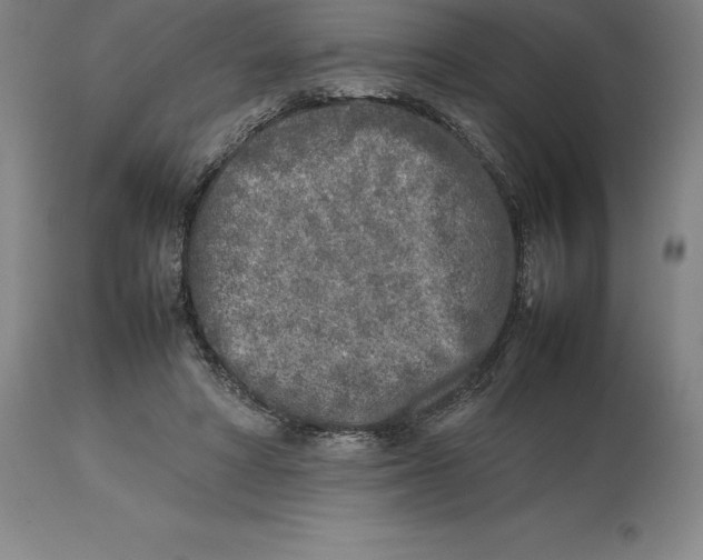 X0000113930402200910231926