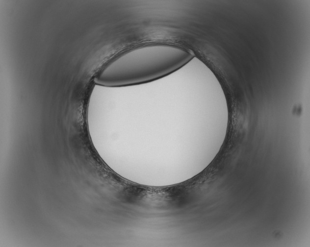 X0000113930403200910231926