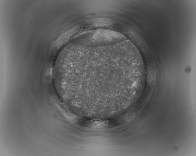 X0000113930405200910231926