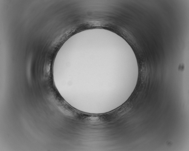 X0000113930406200910231926