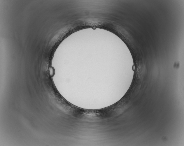 X0000113930407200910231926