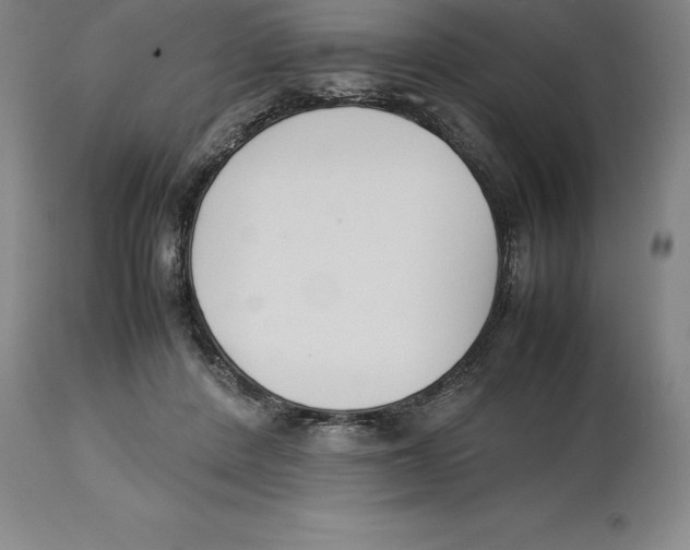 X0000113930408200910231926