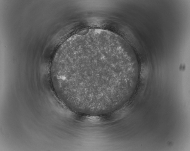 X0000113930409200910231926