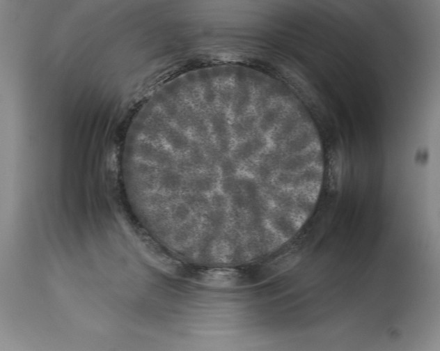 X0000113930410200910231926