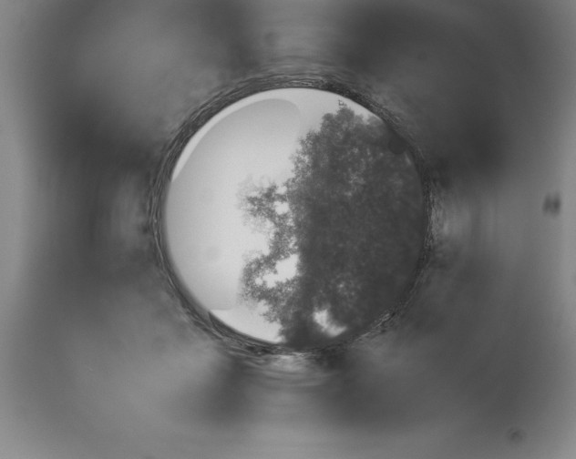 X0000113930411200910231926