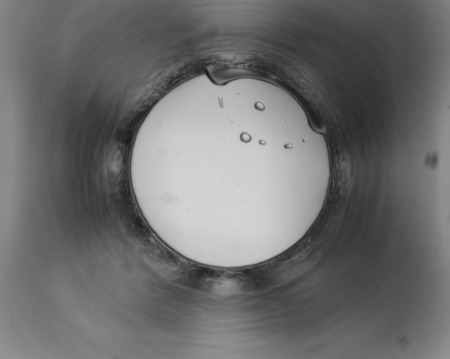 X0000113930412200910231926