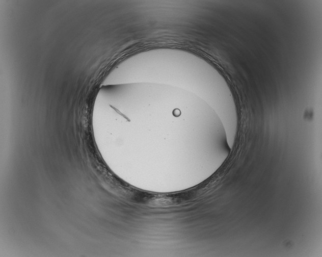 X0000113930413200910231926
