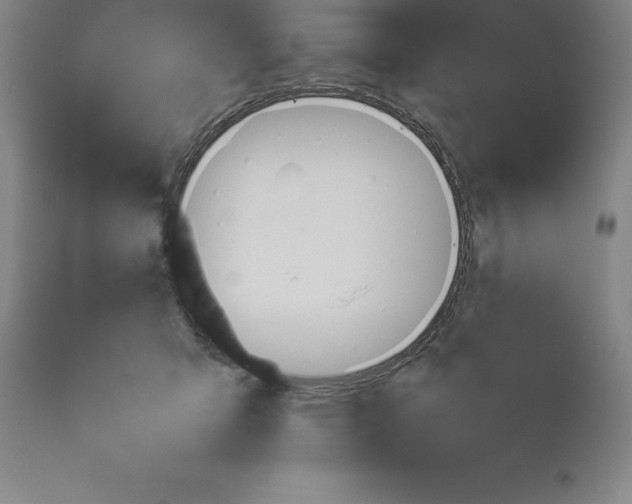 X0000113930415200910231926