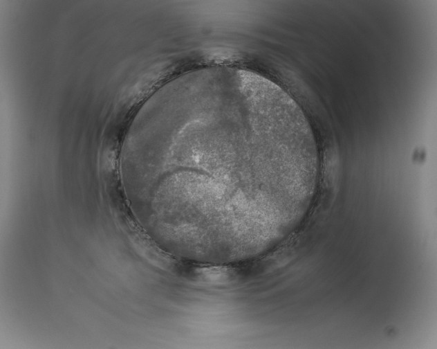 X0000113930417200910231926