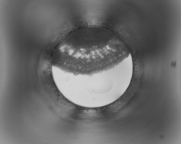 X0000113930419200910231926
