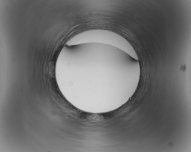X0000113930421200910231926