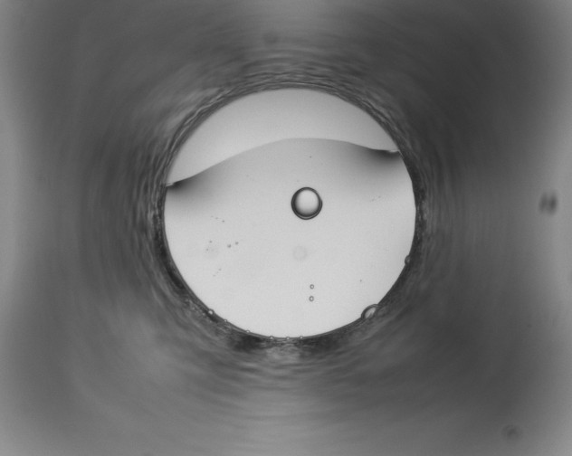 X0000113930423200910231926