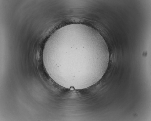 X0000113930424200910231926