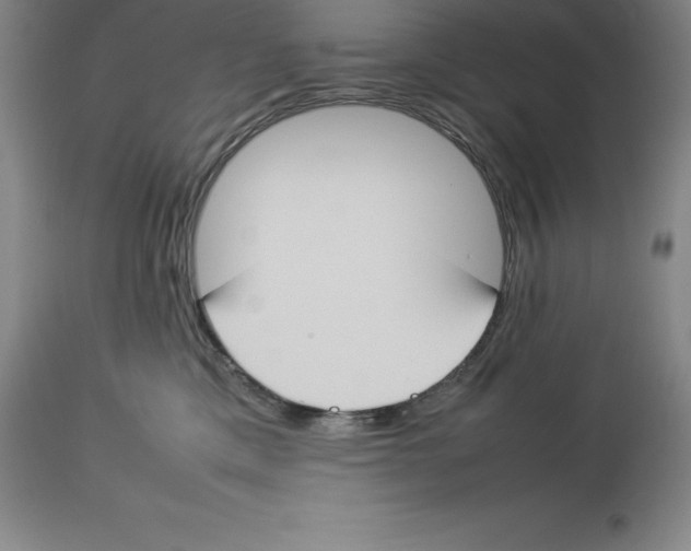 X0000113930425200910231926