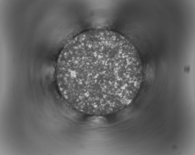 X0000113930427200910231926