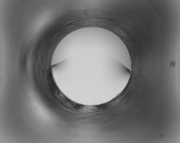 X0000113930429200910231926