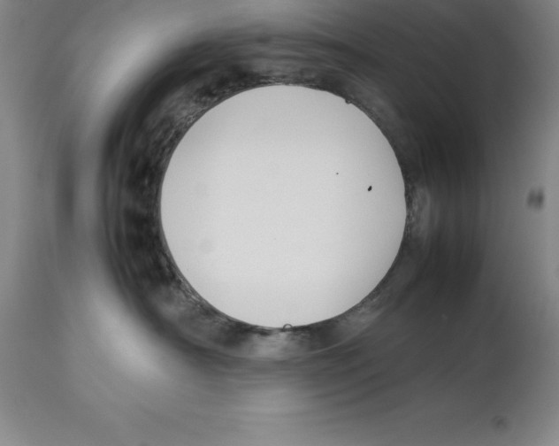X0000113930430200910231926