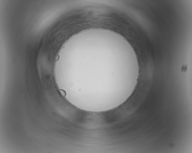 X0000113930431200910231926