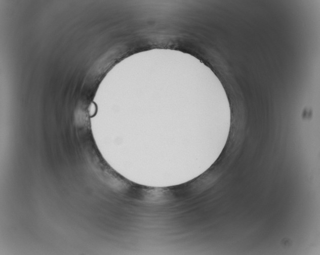 X0000113930432200910231926