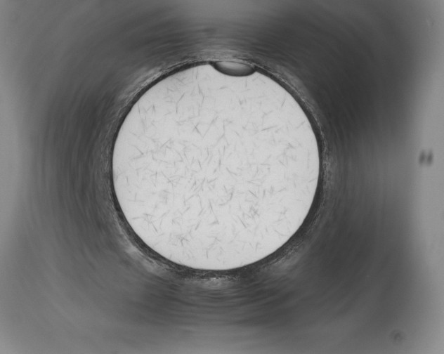 X0000113930433200910231925