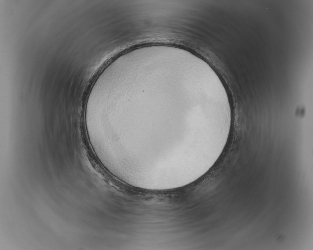 X0000113930434200910231925