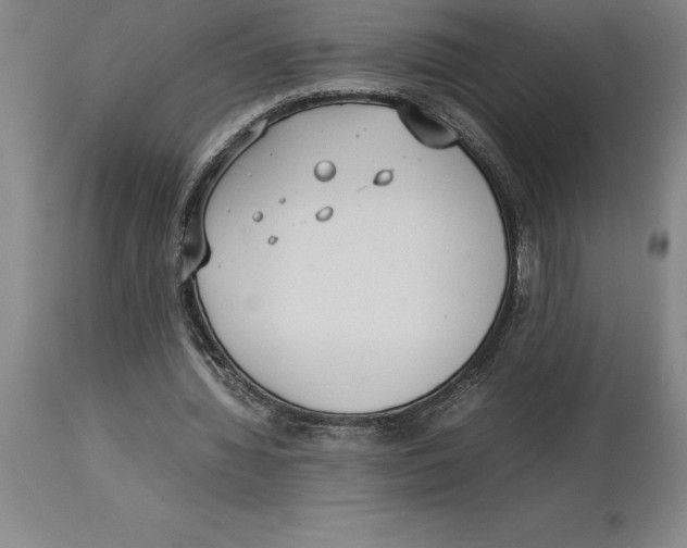 X0000113930436200910231925