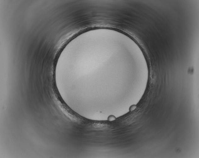 X0000113930437200910231925
