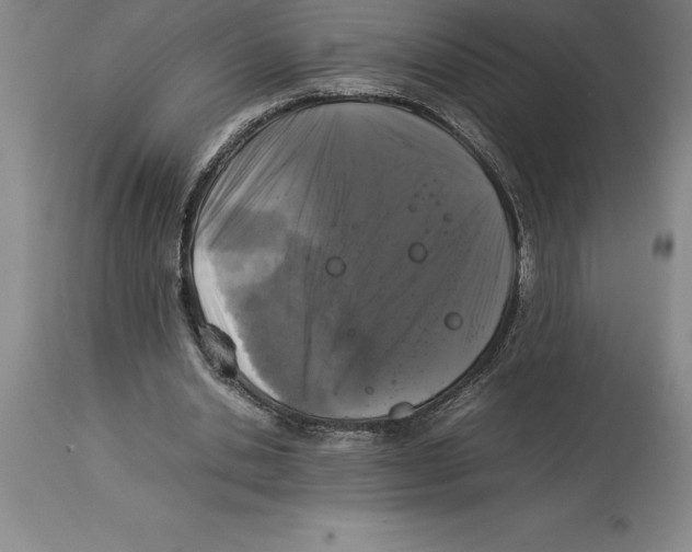 X0000113930438200910231925