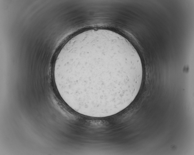 X0000113930439200910231925
