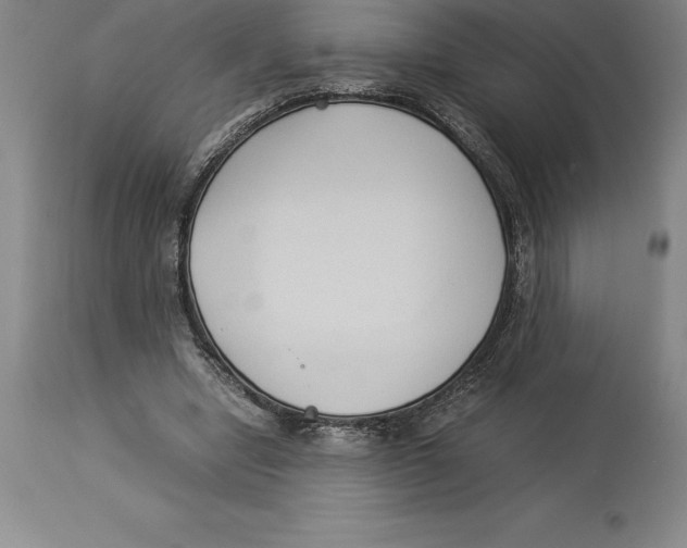 X0000113930442200910231925