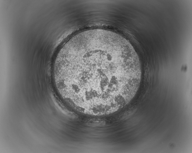 X0000113930443200910231925