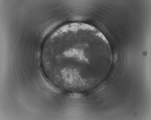 X0000113930444200910231925