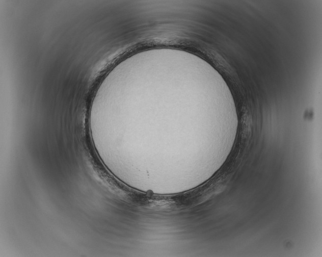 X0000113930446200910231925