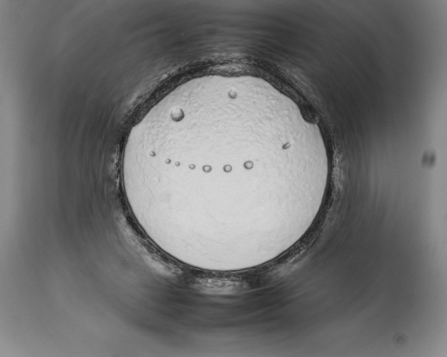 X0000113930449200910231925