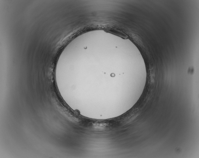 X0000113930450200910231925
