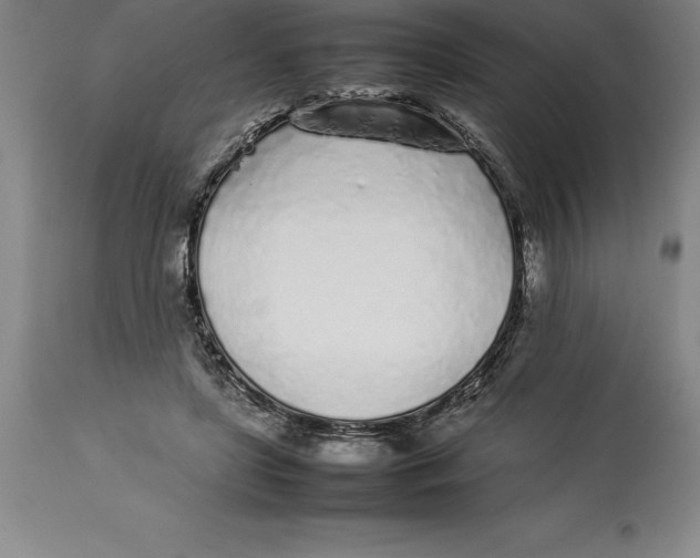 X0000113930451200910231925