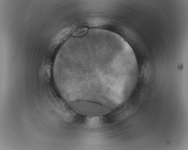 X0000113930452200910231925