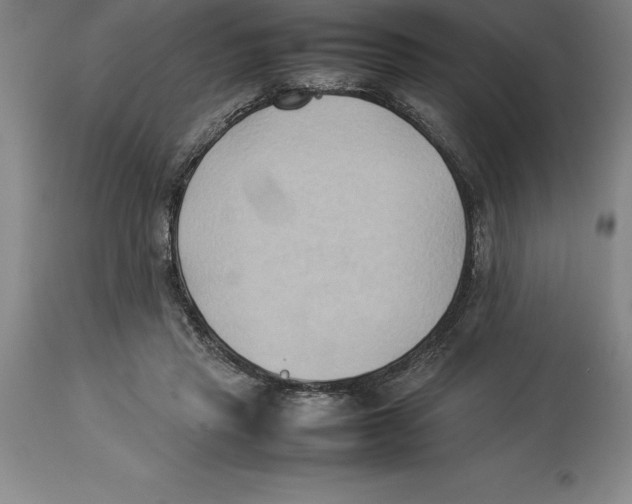 X0000113930453200910231925