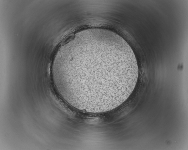 X0000113930454200910231925