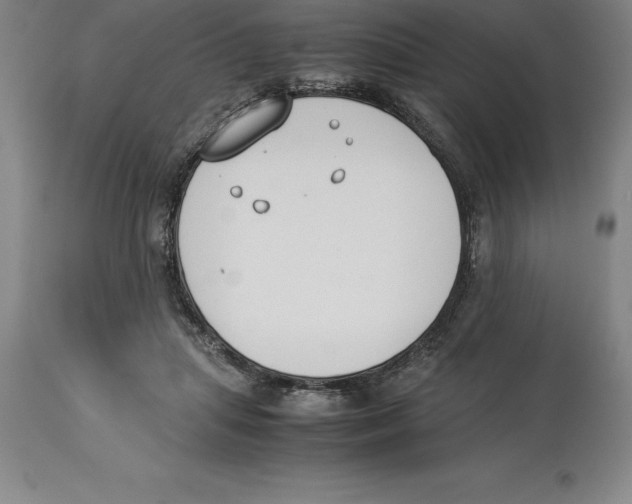 X0000113930455200910231925