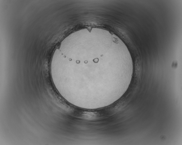 X0000113930457200910231925