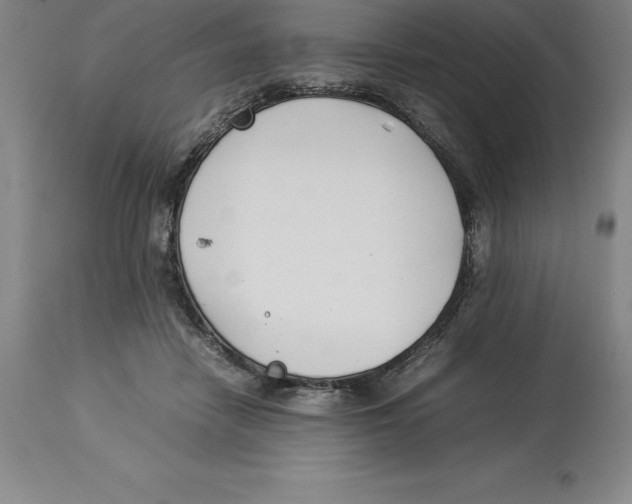 X0000113930458200910231925