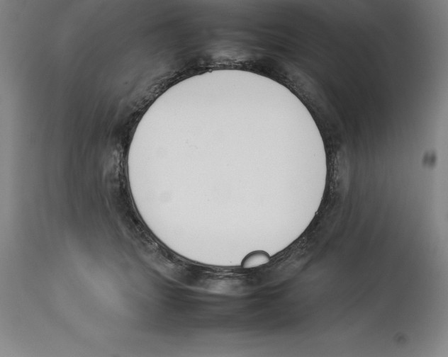 X0000113930463200910231925