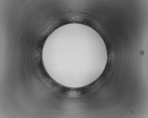 X0000113930464200910231925