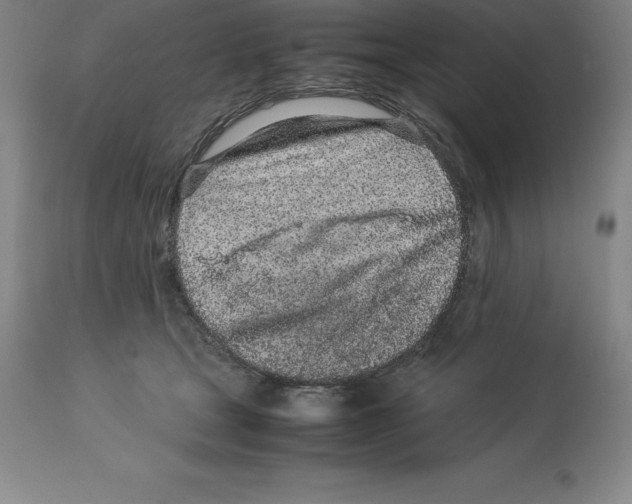 X0000113930465200910231925