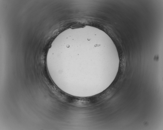 X0000113930466200910231925
