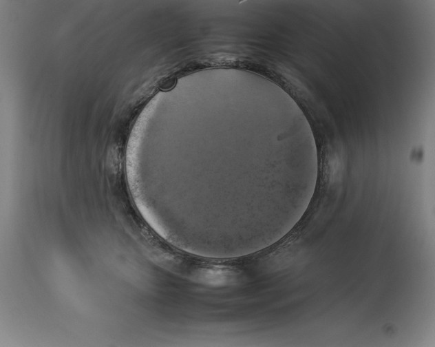 X0000113930467200910231925