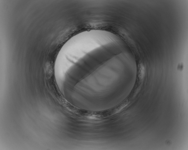 X0000113930471200910231925