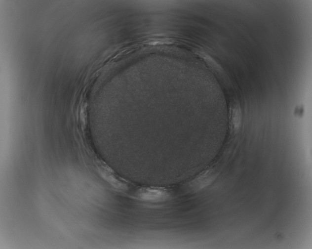 X0000113930475200910231925